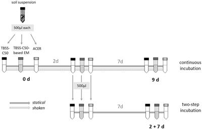 Rational design of an acidic erythritol (ACER) medium for the enhanced isolation of the environmental pathogen Burkholderia pseudomallei from soil samples